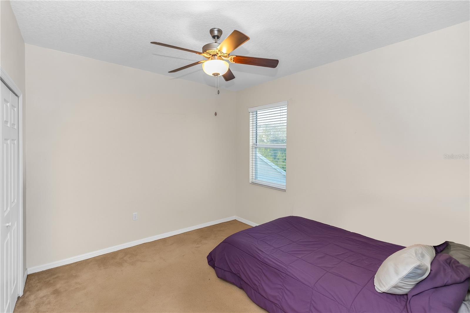3301 BETHPAGE LOOP, MOUNT DORA, FL — photo 75