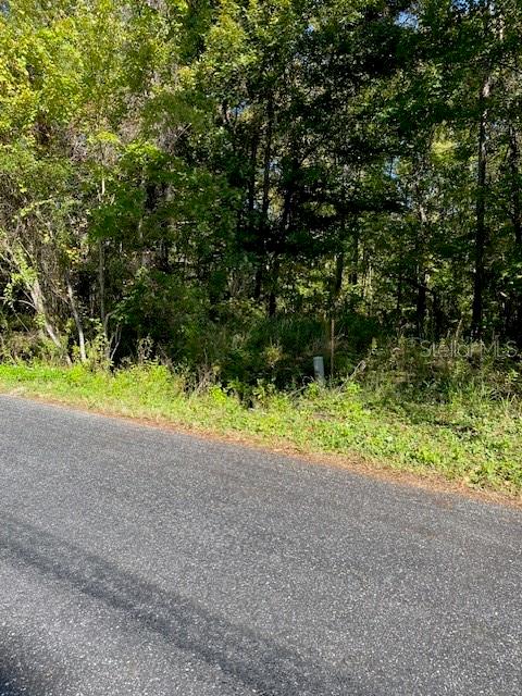 19611 NW 75TH ST, ALACHUA, FL — photo 3