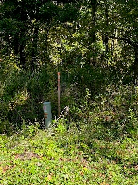 19611 NW 75TH ST, ALACHUA, FL — photo 4