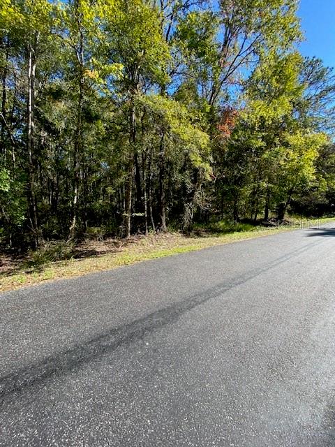 19611 NW 75TH ST, ALACHUA, FL — photo 5