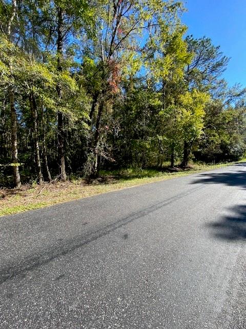 19611 NW 75TH ST, ALACHUA, FL — photo 6