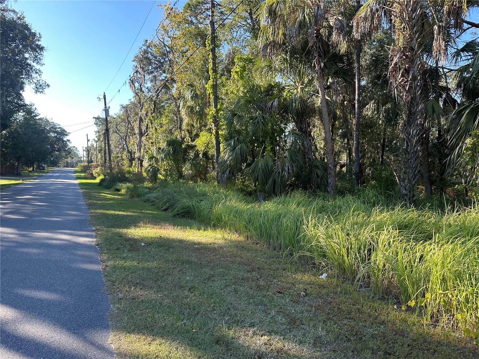 6347 W ARTER ST, CRYSTAL RIVER, FL — photo 4