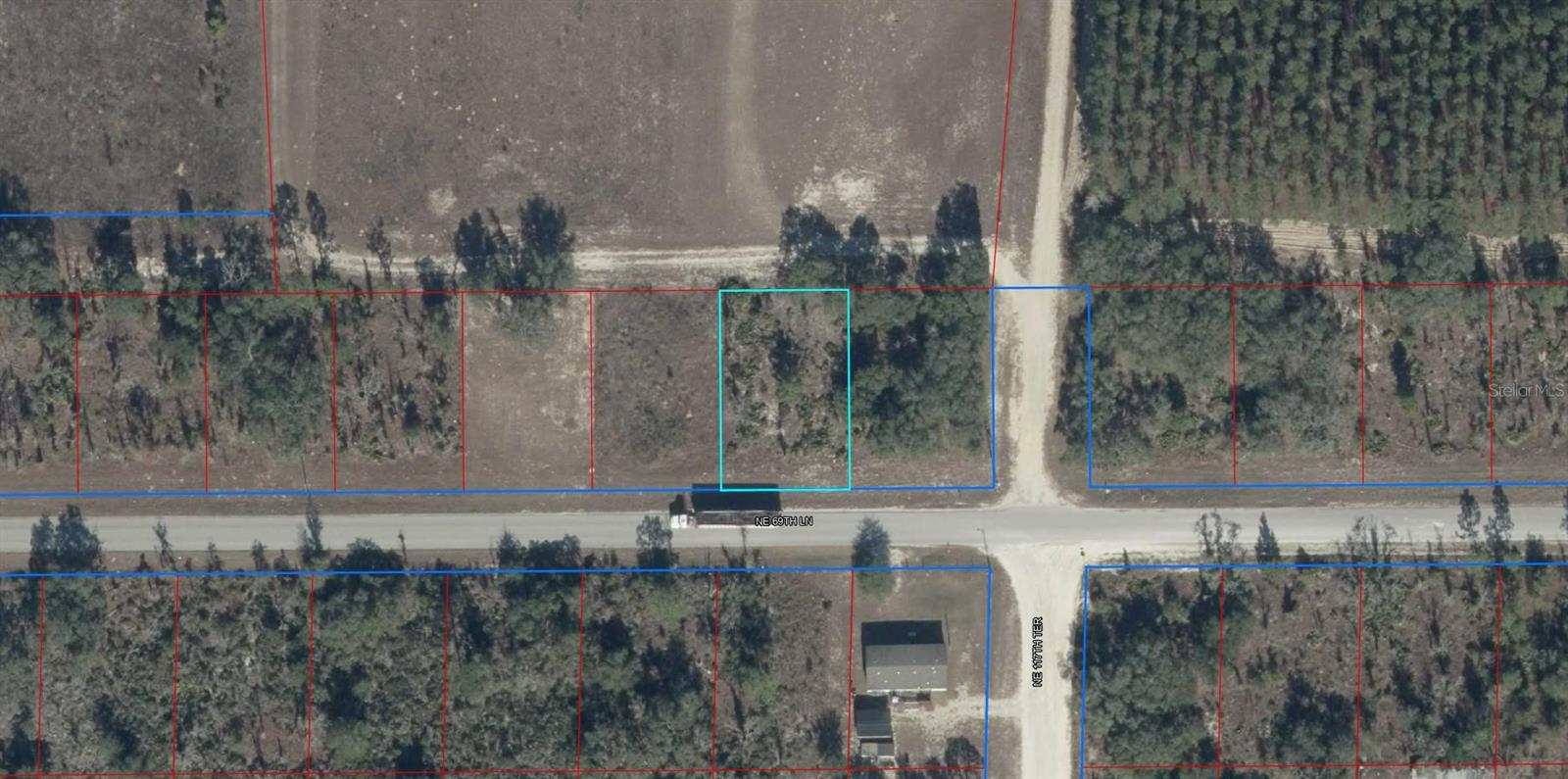 TBD NE 69TH LN, WILLISTON, FL — photo 7