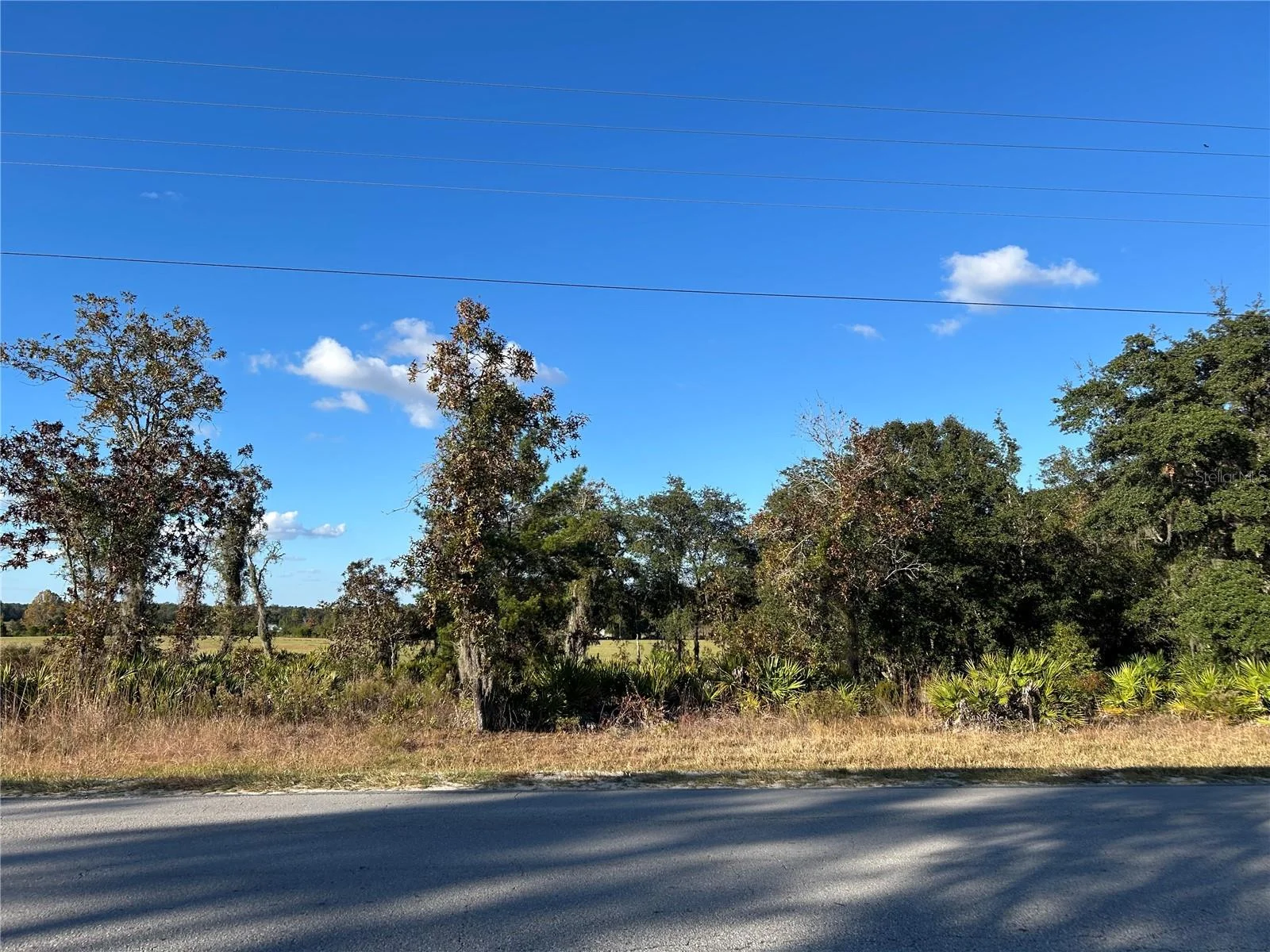 TBD NE 69TH LN, WILLISTON, FL — photo 2