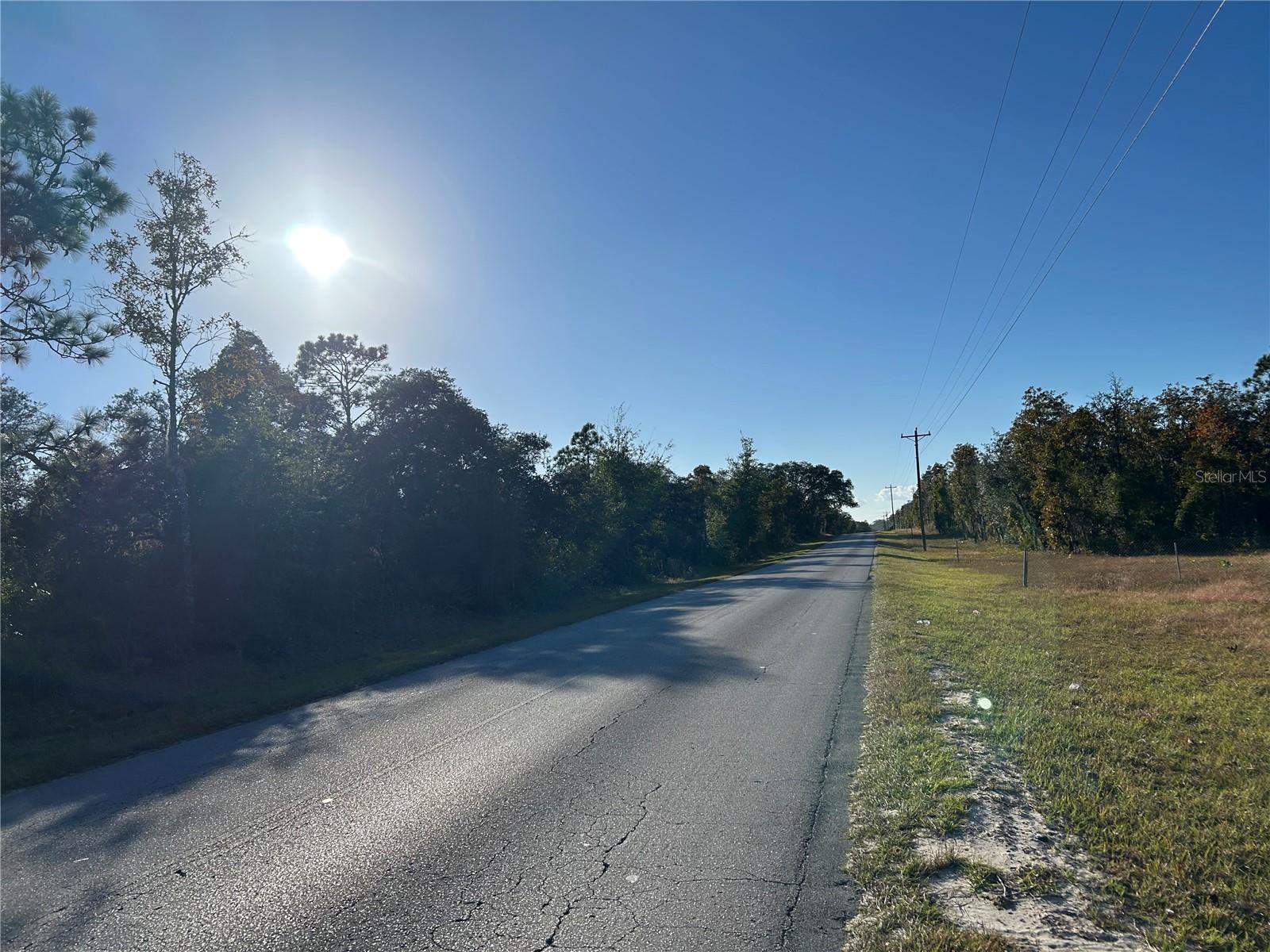 TBD NE 69TH LN, WILLISTON, FL — photo 5