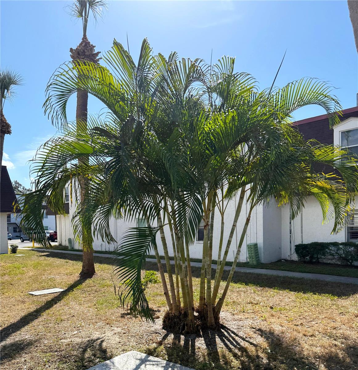 9002 TUDOR DR #K201, TAMPA, FL — photo 5