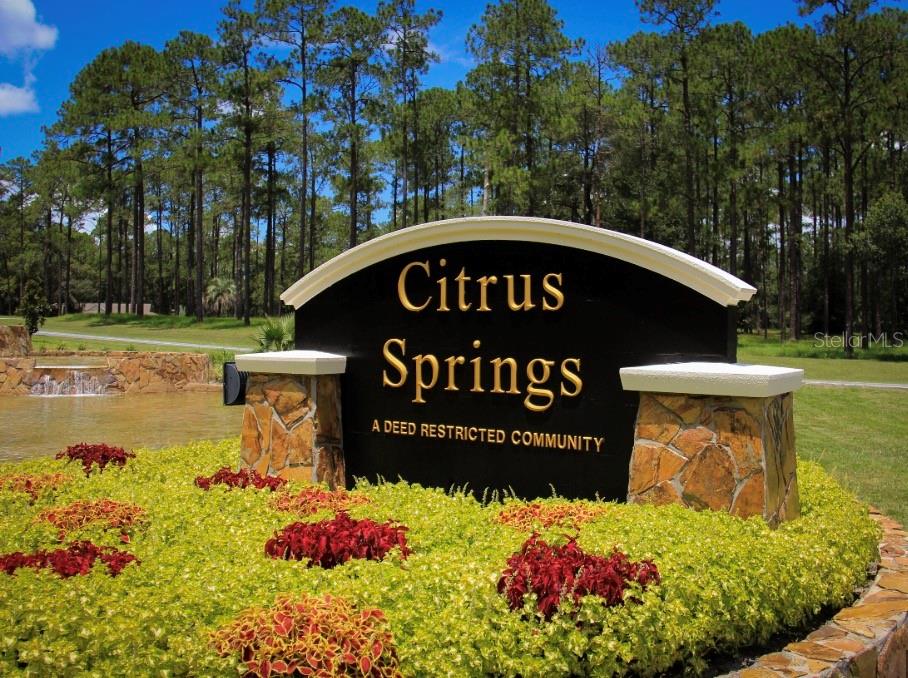 6545 N WHISPERING DR, CITRUS SPRINGS, FL — photo 3