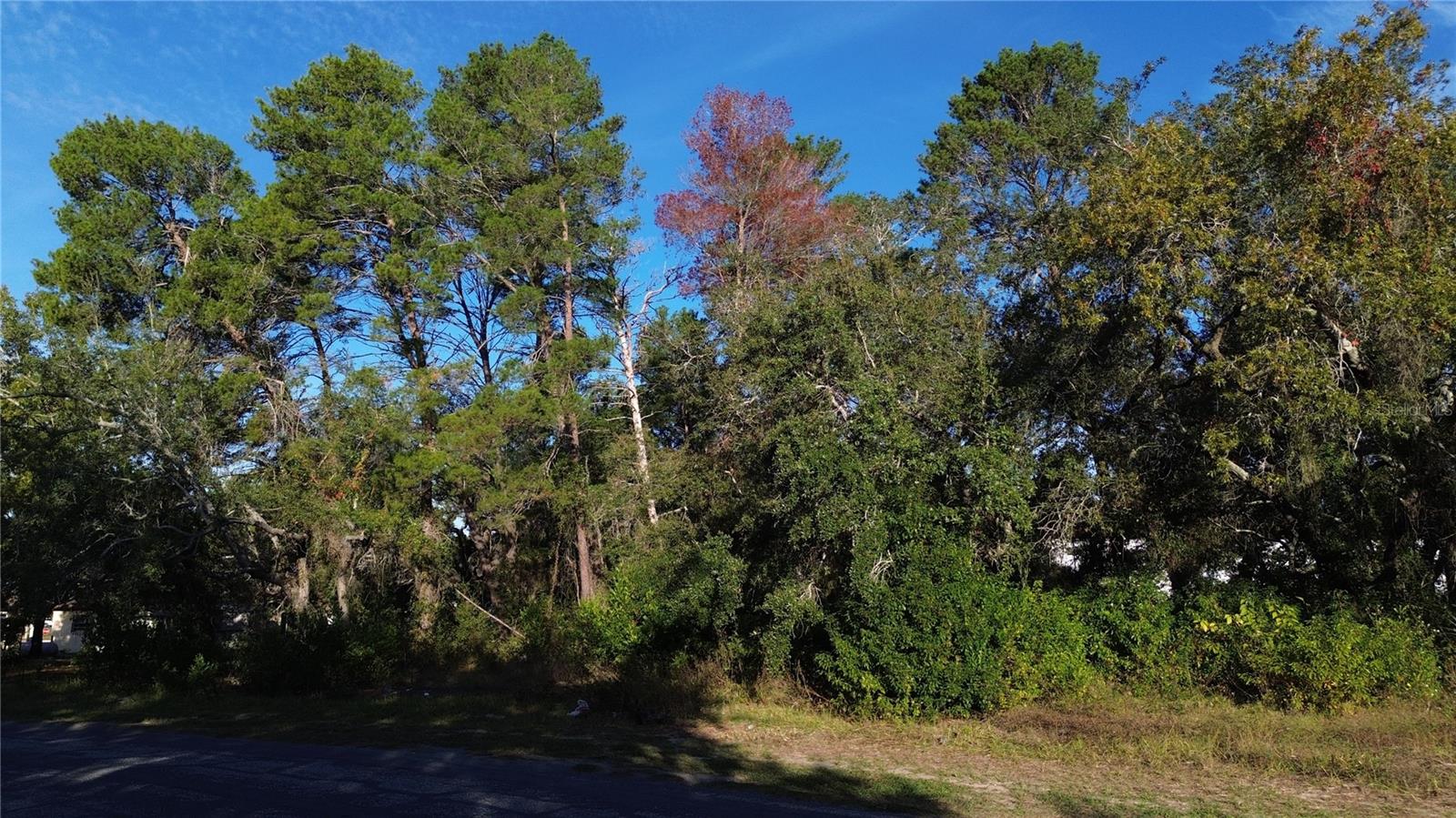 7939 RHANBUOY RD, SPRING HILL, FL — photo 2