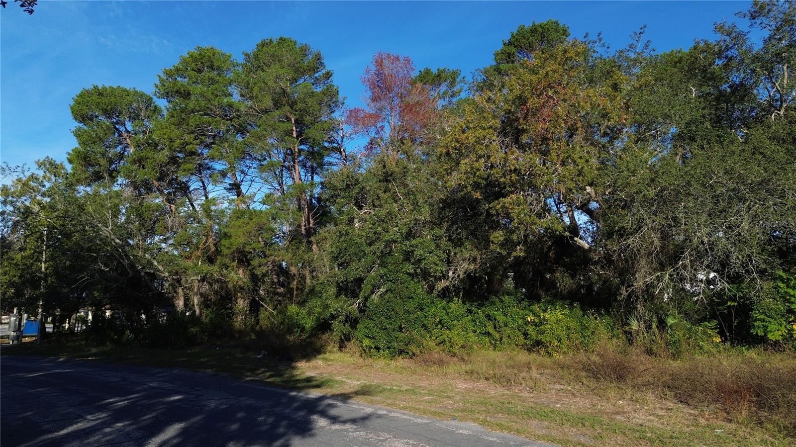 7939 RHANBUOY RD, SPRING HILL, FL — photo 3