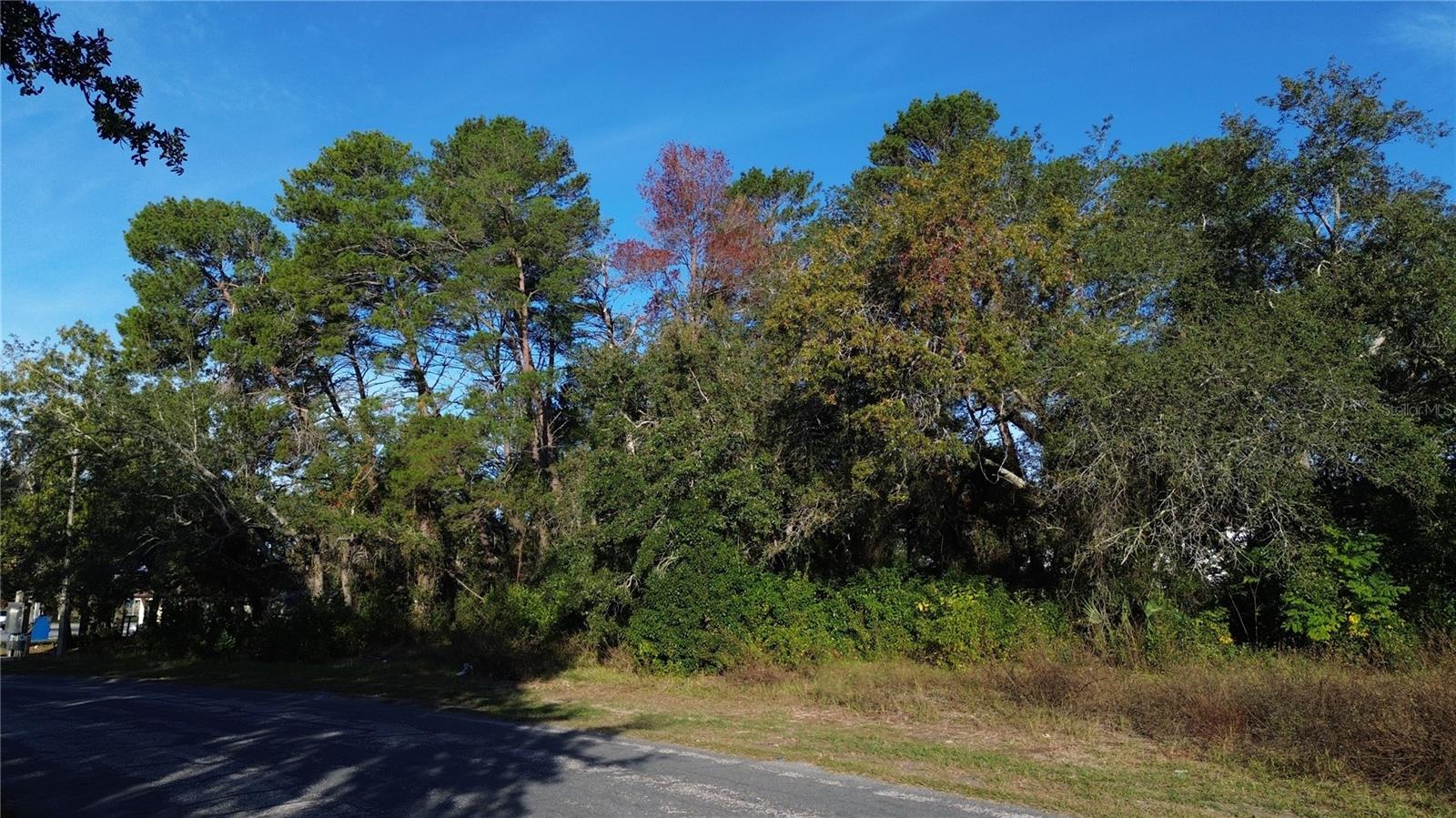7939 RHANBUOY RD, SPRING HILL, FL — photo 4