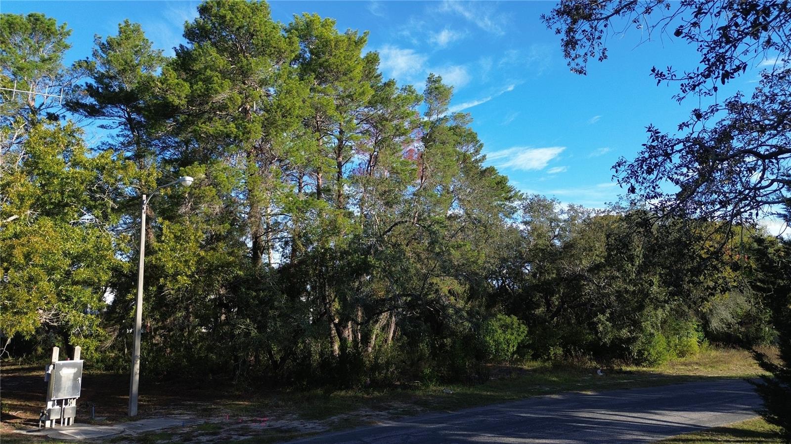 7939 RHANBUOY RD, SPRING HILL, FL — photo 5