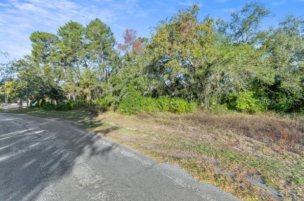 7939 RHANBUOY RD, SPRING HILL, FL — photo 9