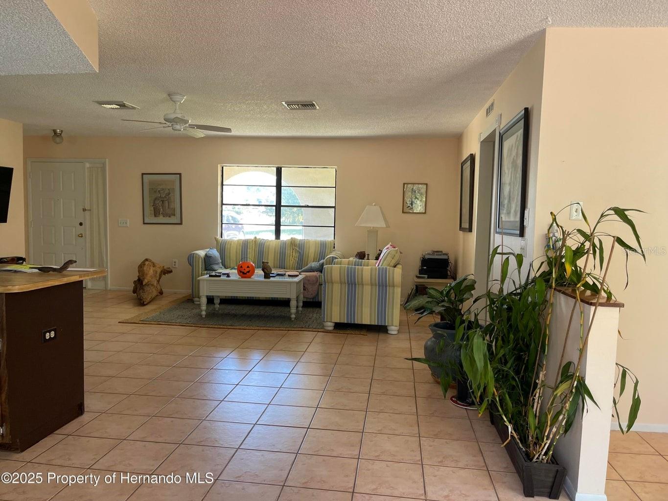 6233 HANCOCK AVE, SPRING HILL, FL — photo 3
