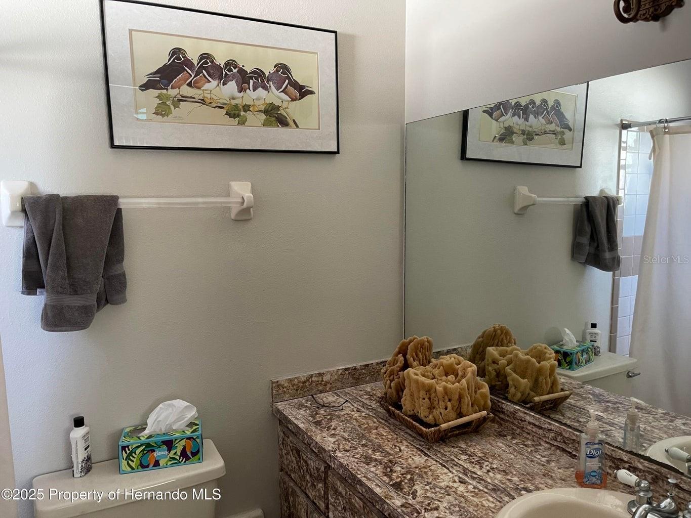 6233 HANCOCK AVE, SPRING HILL, FL — photo 12