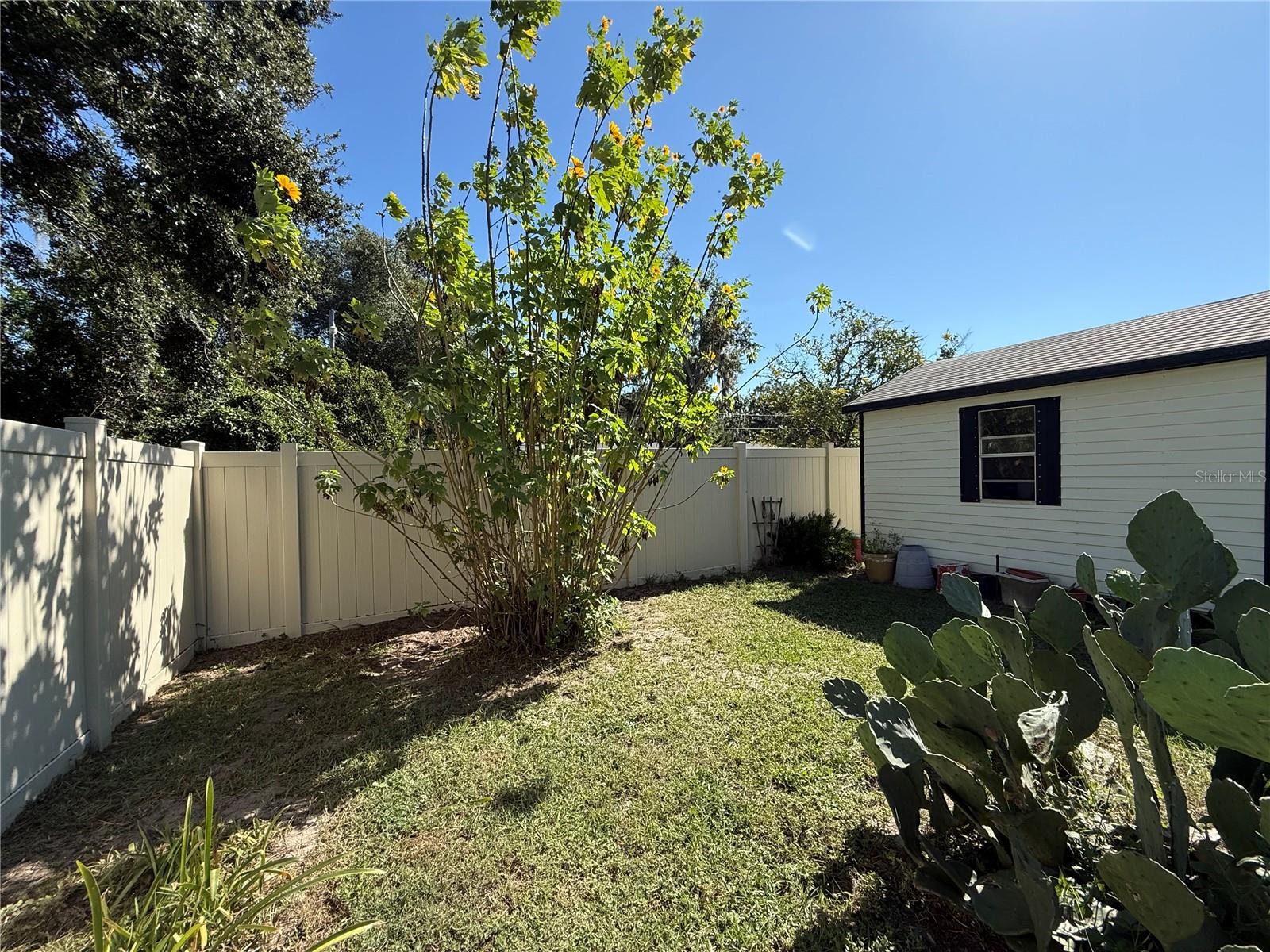 2200 BUTLER ST, LEESBURG, FL — photo 47