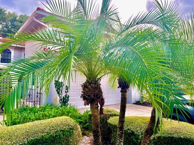 8214 AMBROSE COVE WAY, ORLANDO, FL — photo 9