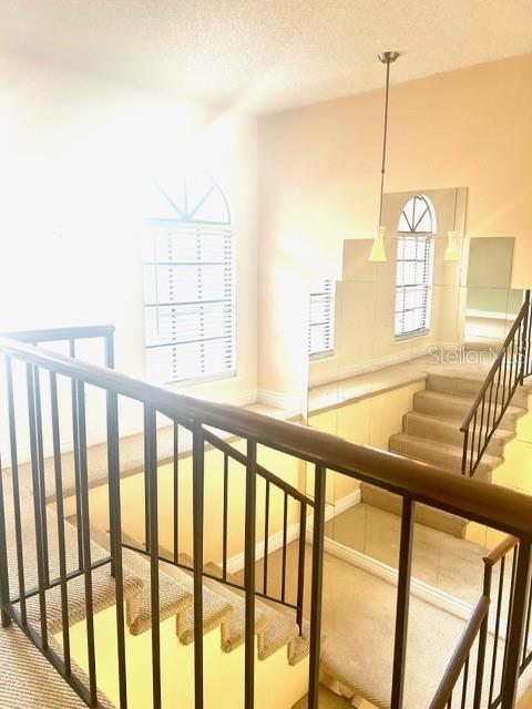 8214 AMBROSE COVE WAY, ORLANDO, FL — photo 24
