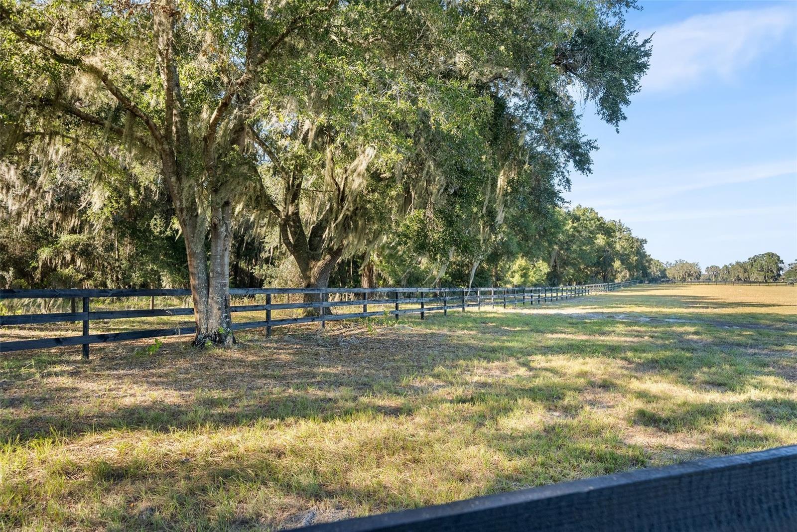 12793 SW 138TH LOOP, DUNNELLON, FL — photo 14