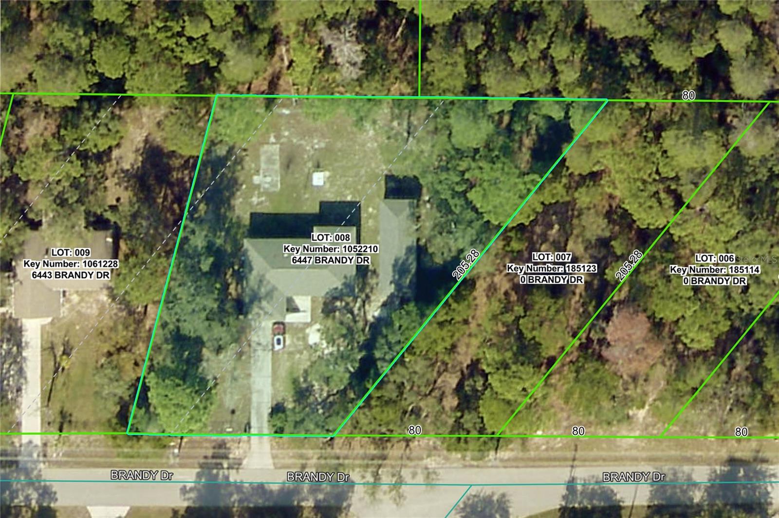 6447 BRANDY DR, SPRING HILL, FL — photo 22