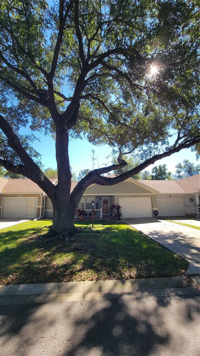 9331 SW 84TH TER #D, OCALA, FL — photo 5