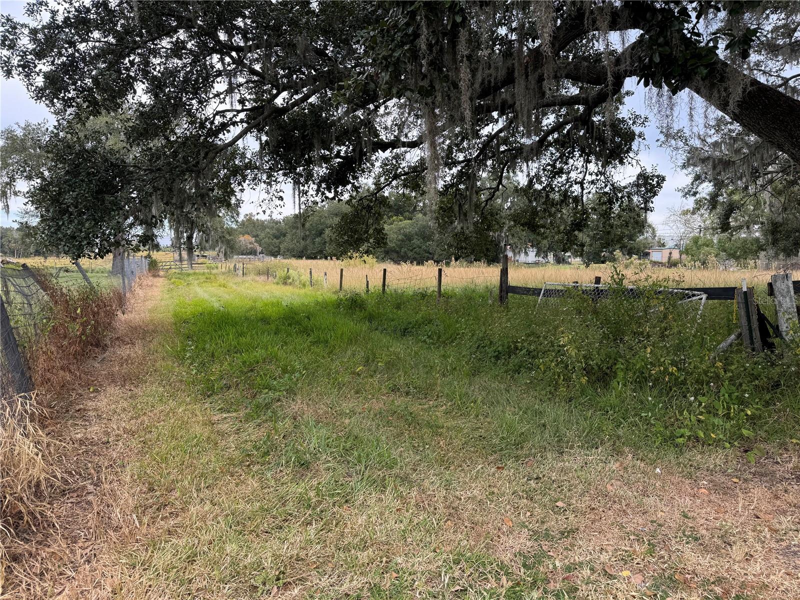 0 CASON RD, PLANT CITY, FL — photo 2