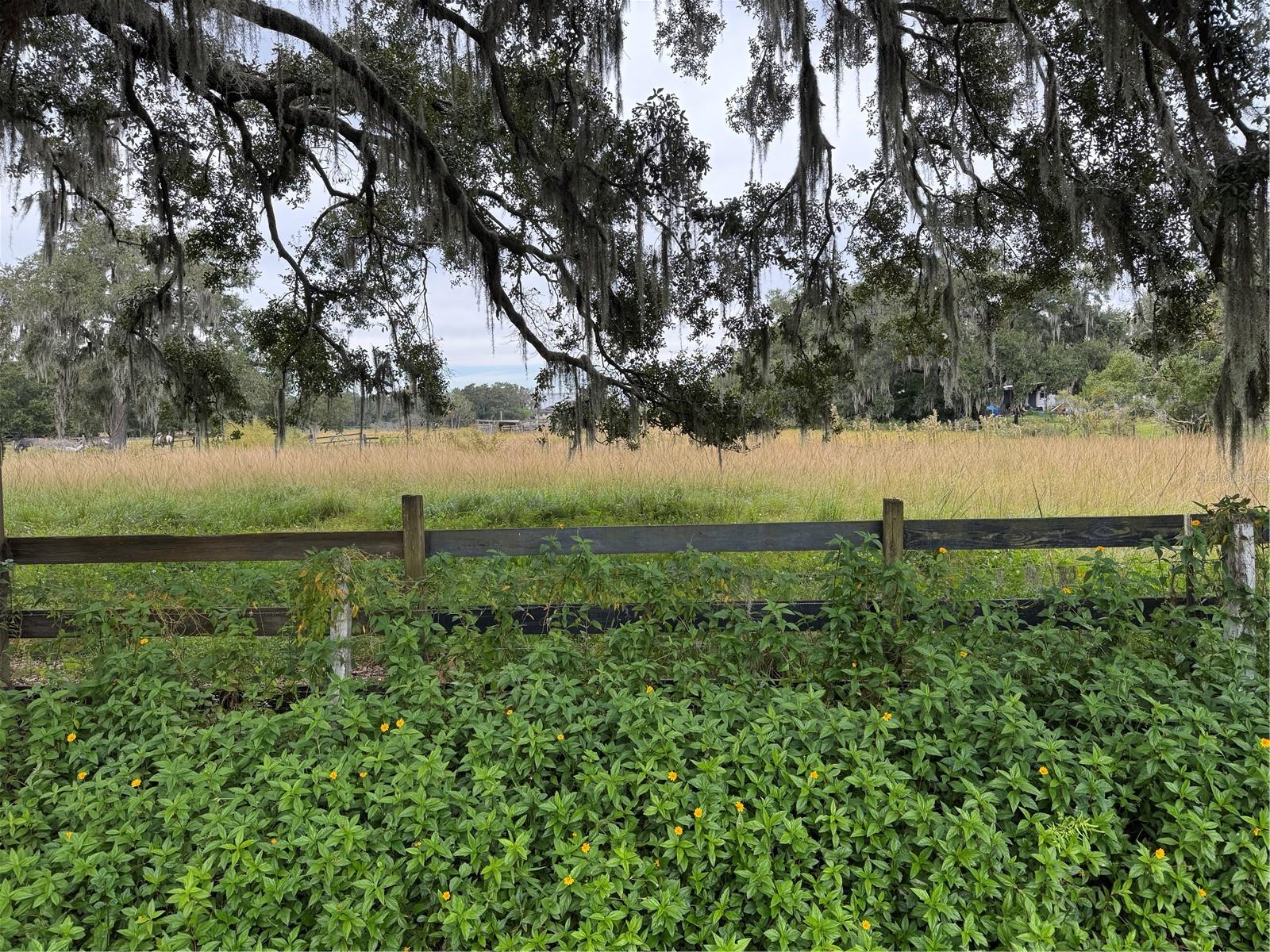 0 CASON RD, PLANT CITY, FL — photo 4