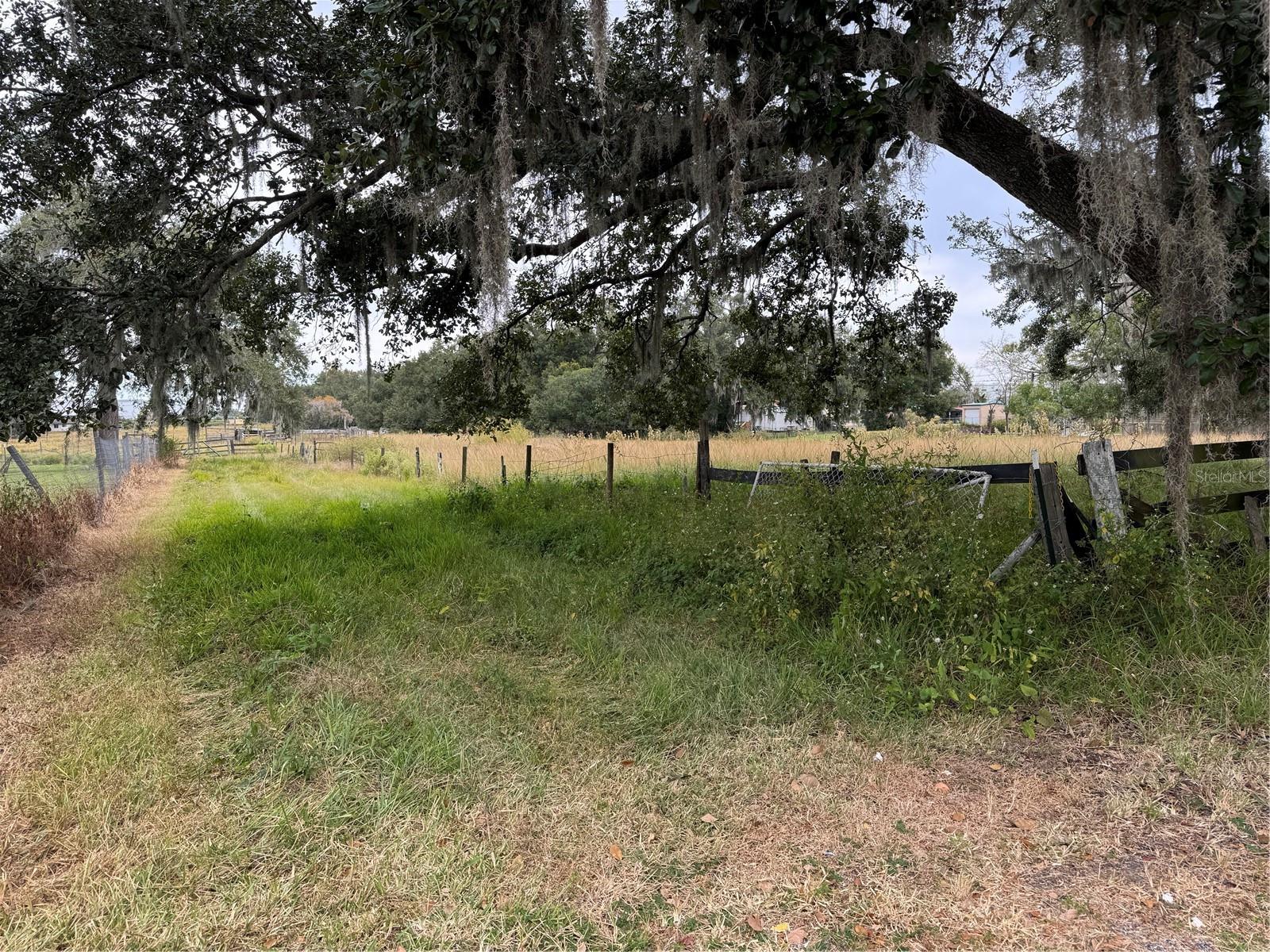 0 CASON RD, PLANT CITY, FL — photo 5