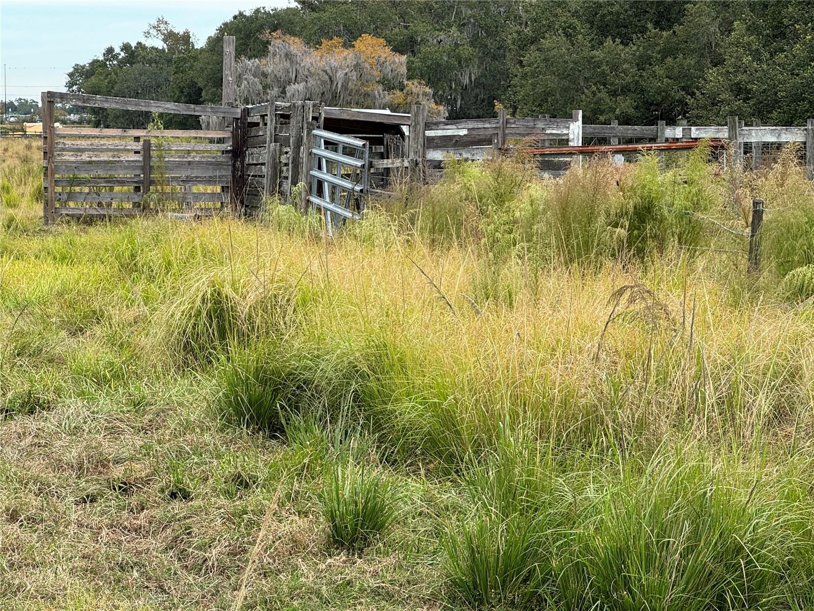 0 CASON RD, PLANT CITY, FL — photo 7