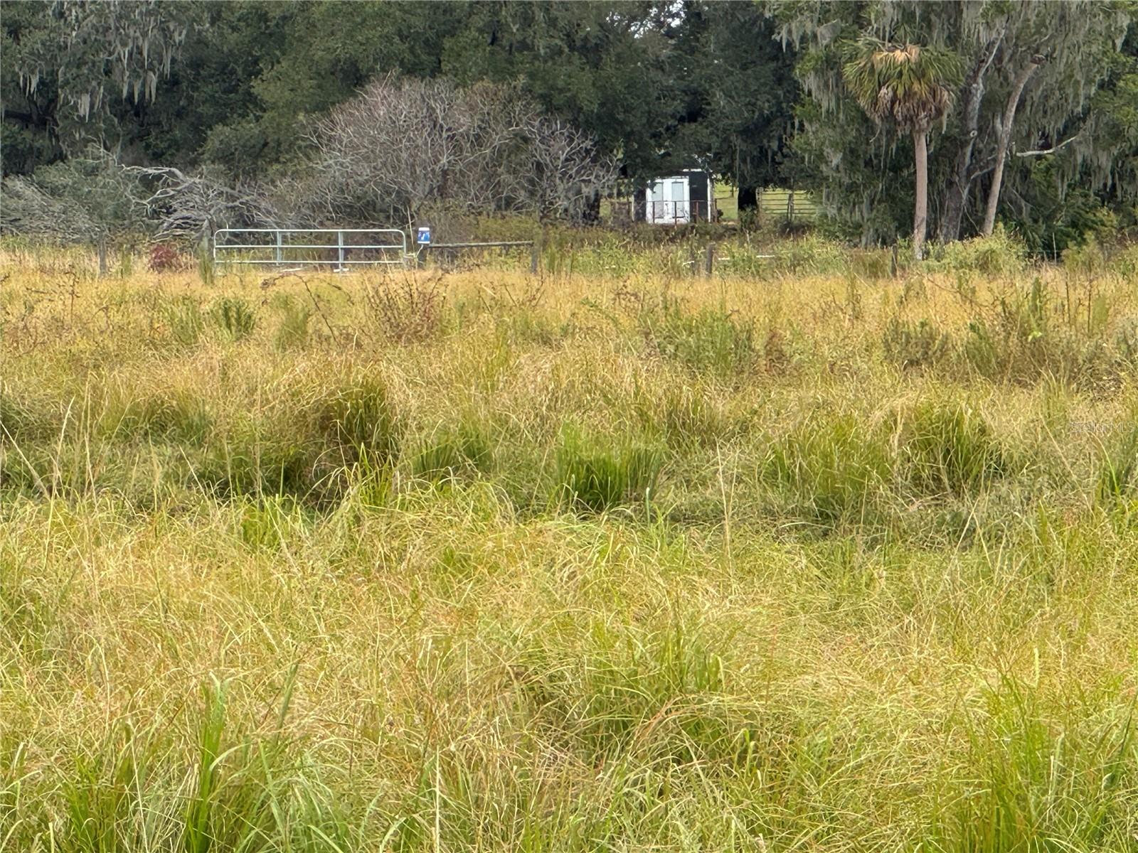 0 CASON RD, PLANT CITY, FL — photo 8