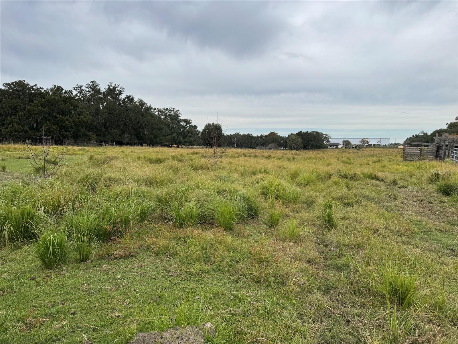 0 CASON RD, PLANT CITY, FL — photo 10