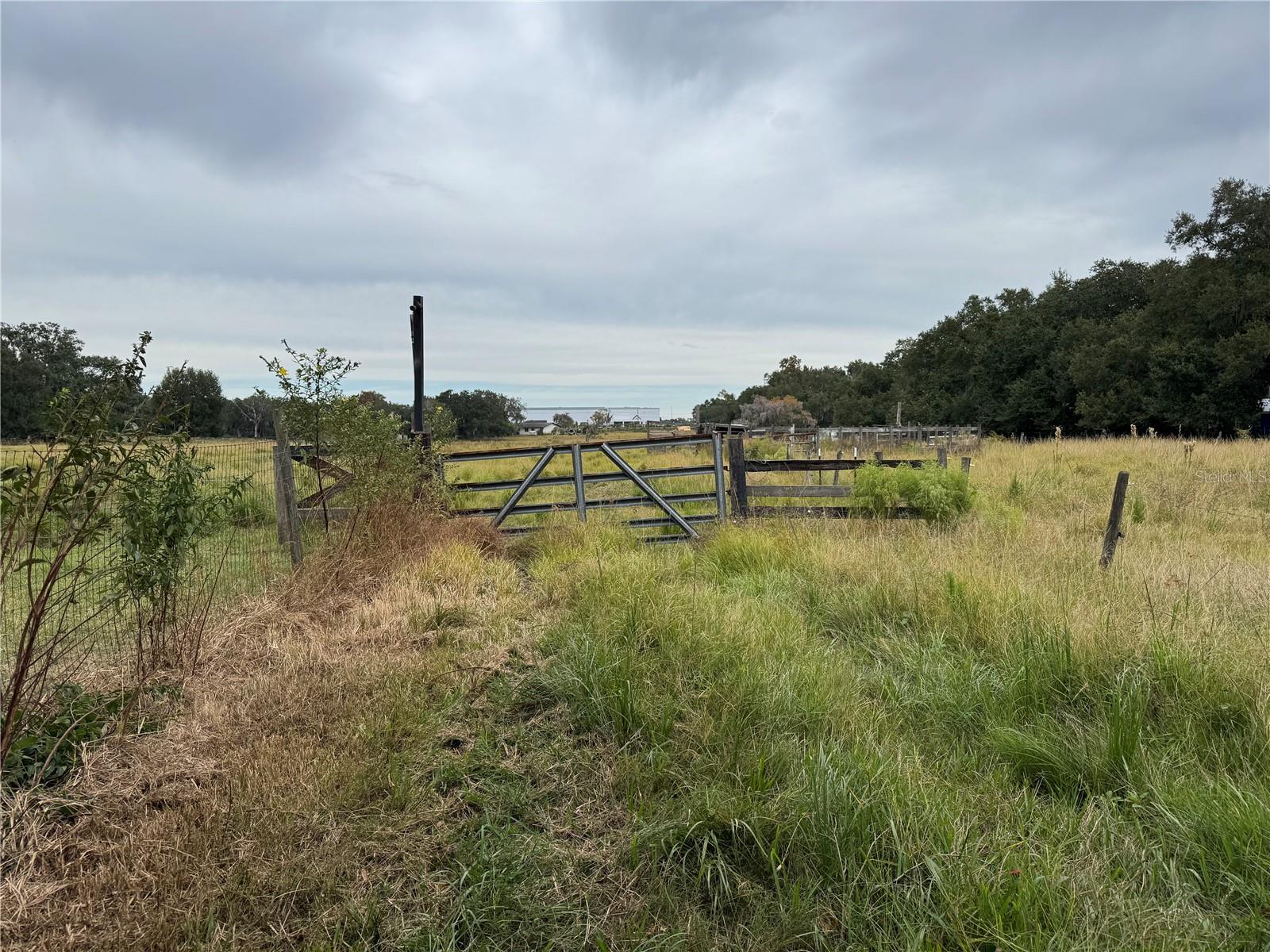 0 CASON RD, PLANT CITY, FL — photo 11