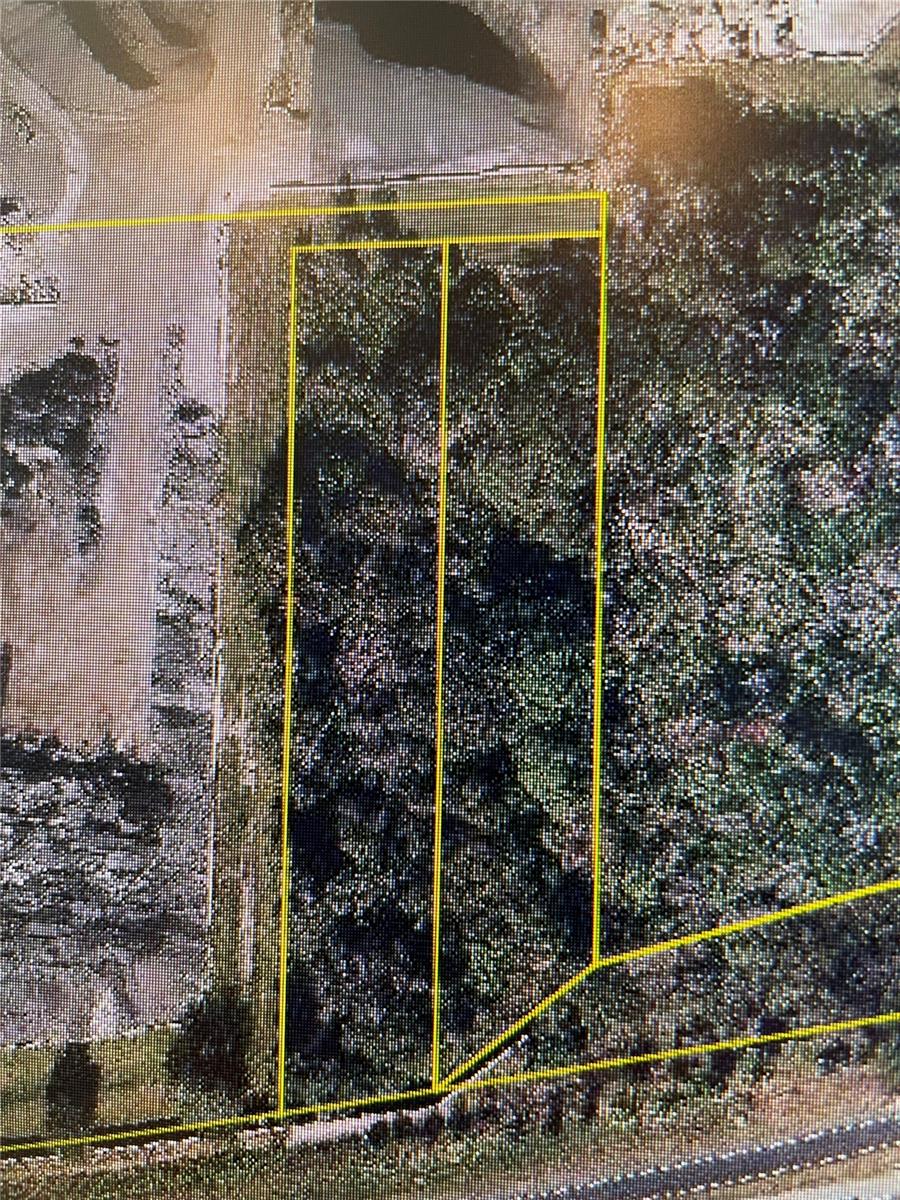 12325 & 12303 STAGG RD, WINTER GARDEN, FL