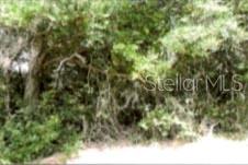 12325 & 12303 STAGG RD, WINTER GARDEN, FL — photo 4