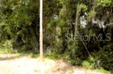 12325 & 12303 STAGG RD, WINTER GARDEN, FL — photo 5