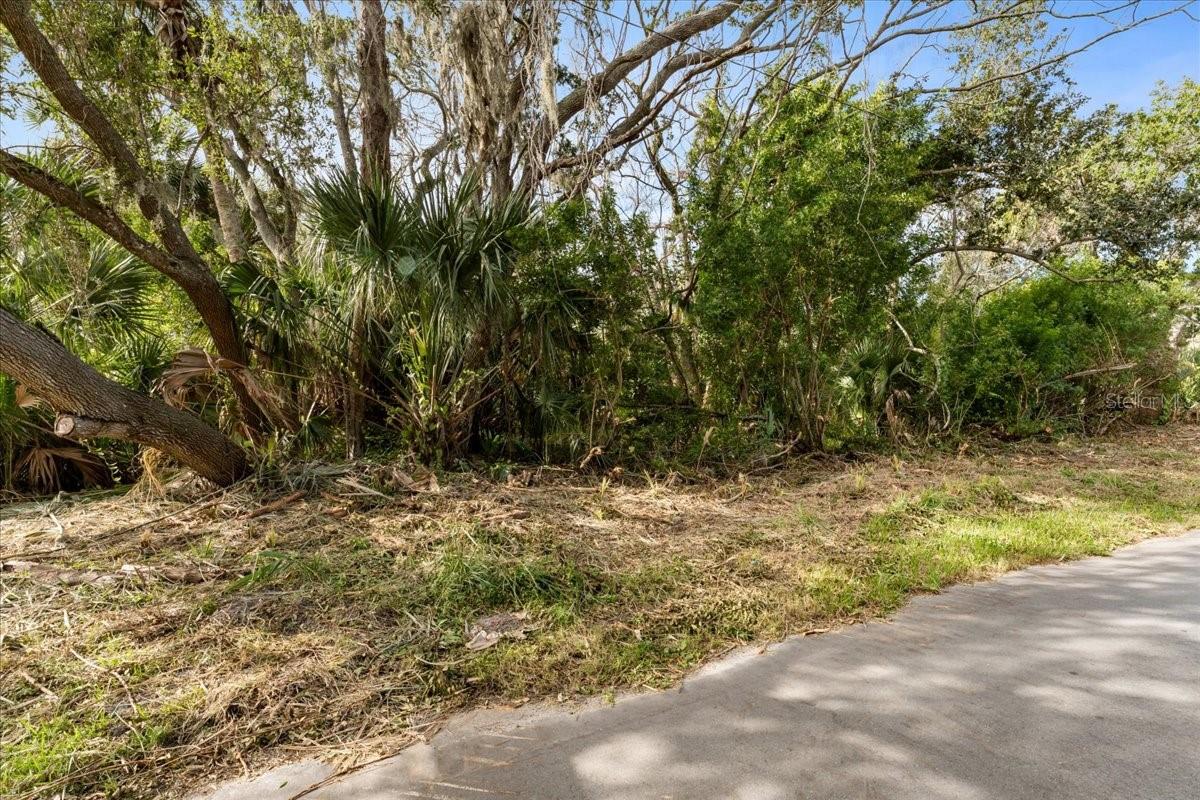 PIER RD, NEW PORT RICHEY, FL — photo 2
