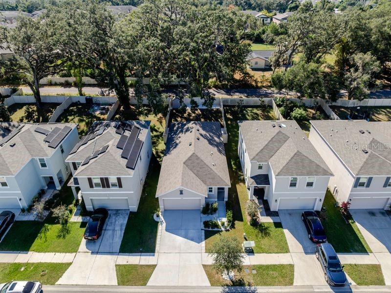 10945 TRAILING VINE DR, TAMPA, FL — photo 3