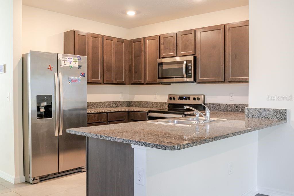 10945 TRAILING VINE DR, TAMPA, FL — photo 9