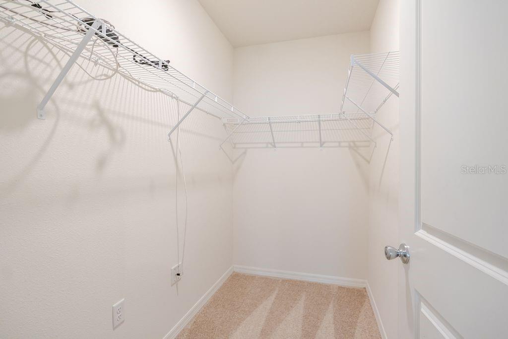 10945 TRAILING VINE DR, TAMPA, FL — photo 24