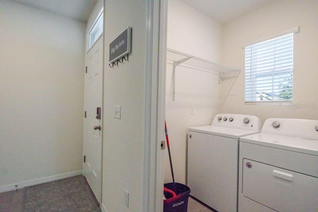 10945 TRAILING VINE DR, TAMPA, FL — photo 28
