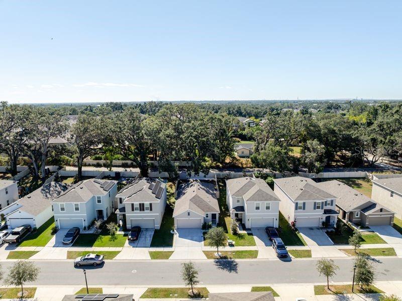 10945 TRAILING VINE DR, TAMPA, FL — photo 39