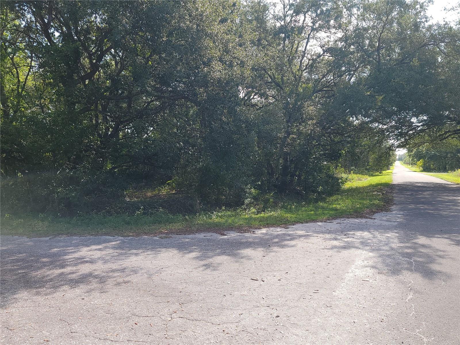 Lot 20 SE FISHER LANE PASS, OCKLAWAHA, FL