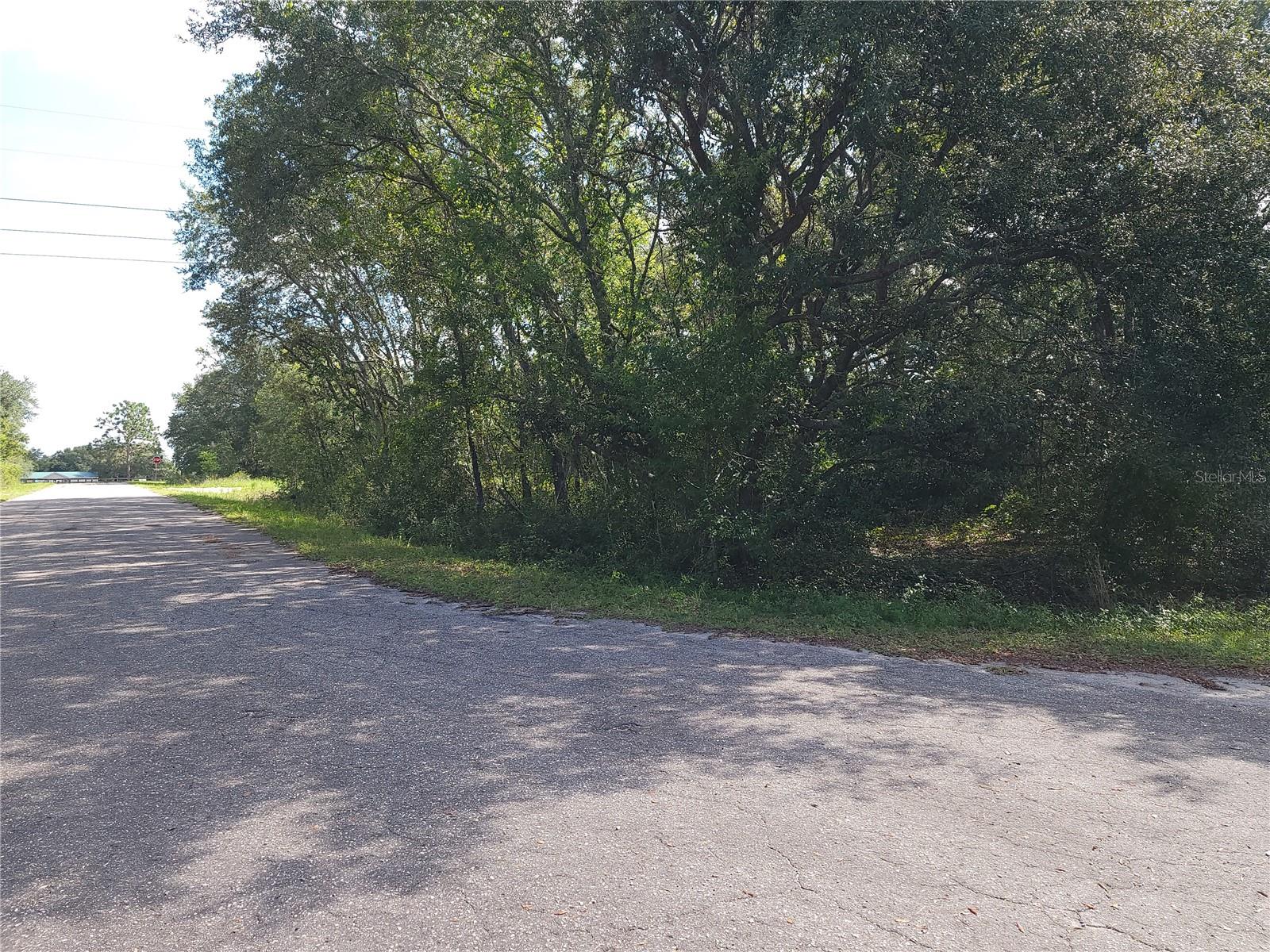 Lot 20 SE FISHER LANE PASS, OCKLAWAHA, FL — photo 3