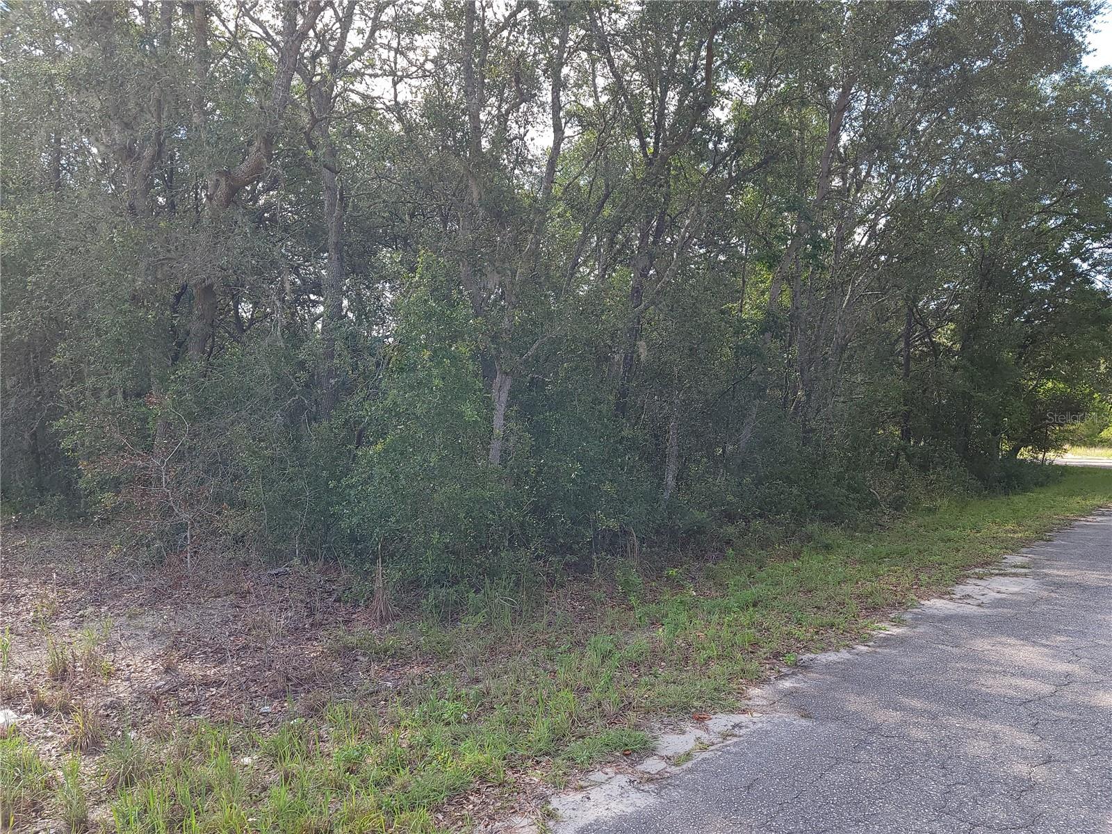 Lot 20 SE FISHER LANE PASS, OCKLAWAHA, FL — photo 7