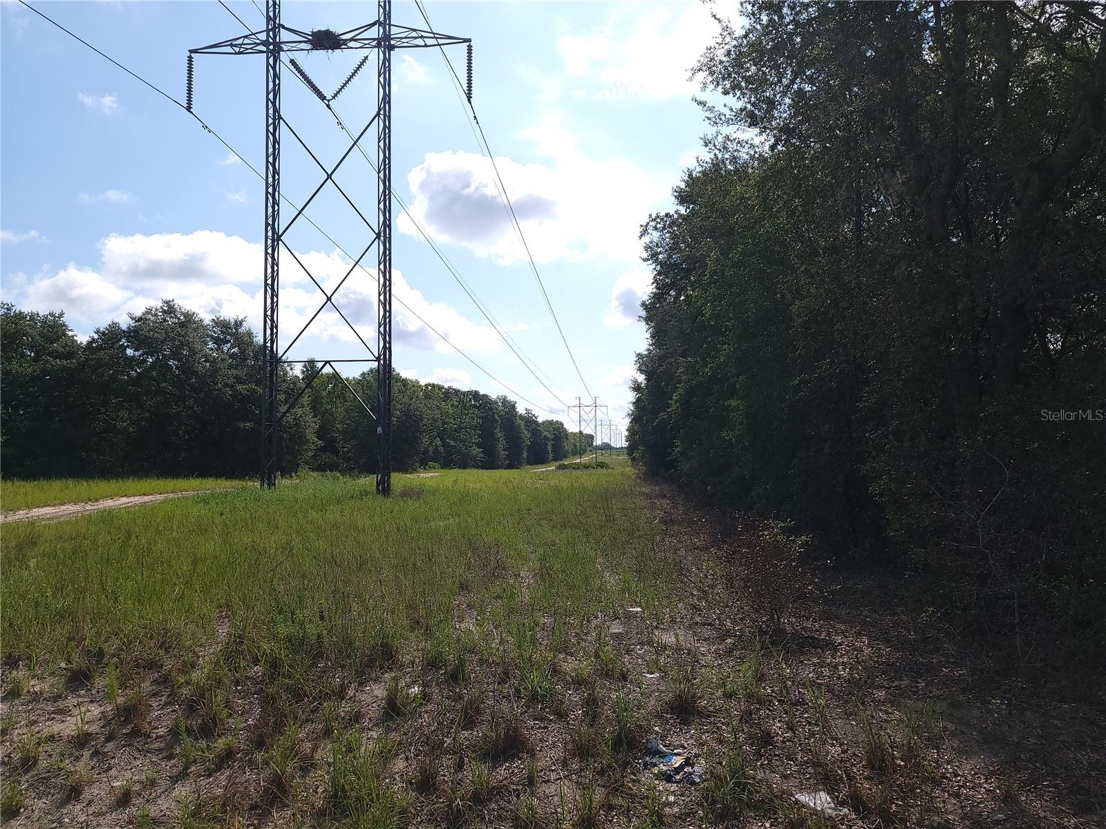 Lot 20 SE FISHER LANE PASS, OCKLAWAHA, FL — photo 9