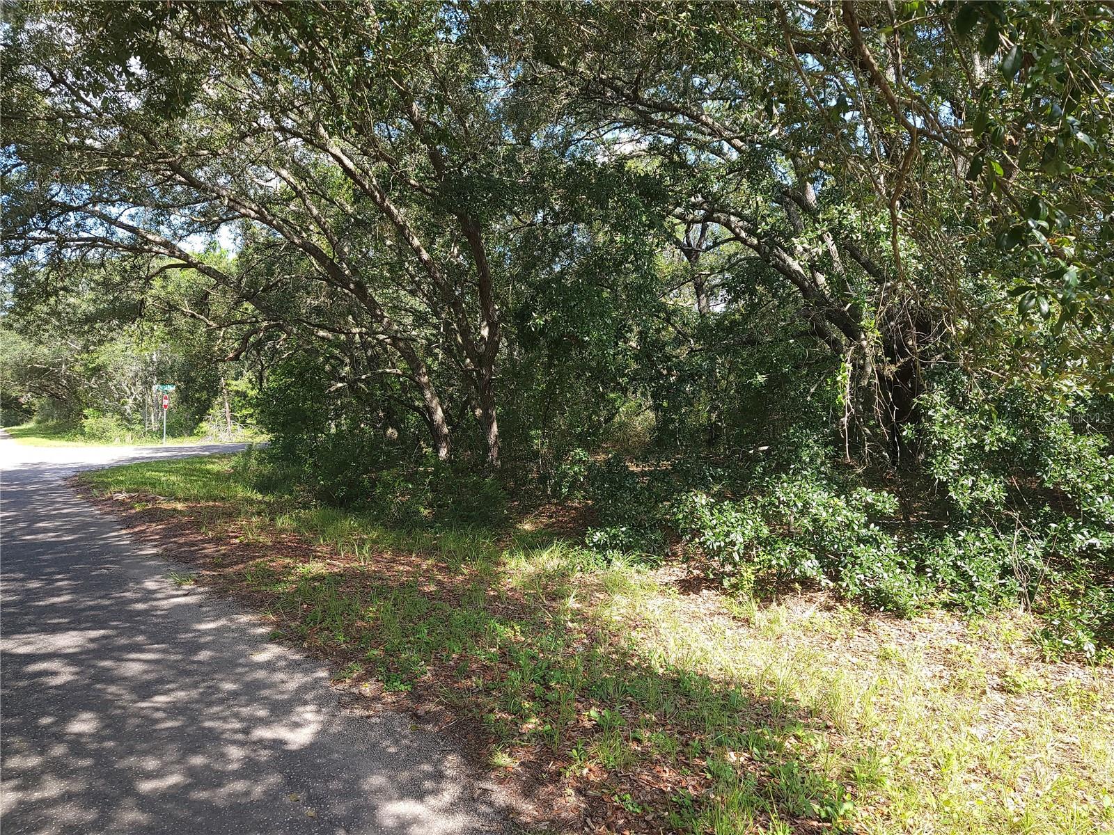 Lot 20 SE FISHER LANE PASS, OCKLAWAHA, FL — photo 14