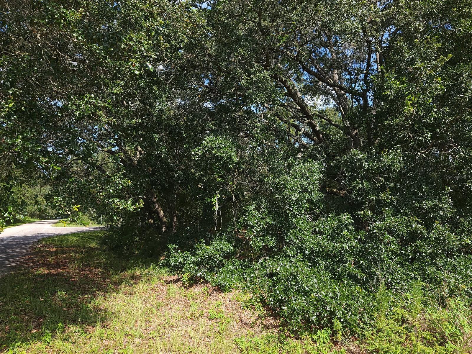 Lot 20 SE FISHER LANE PASS, OCKLAWAHA, FL — photo 15