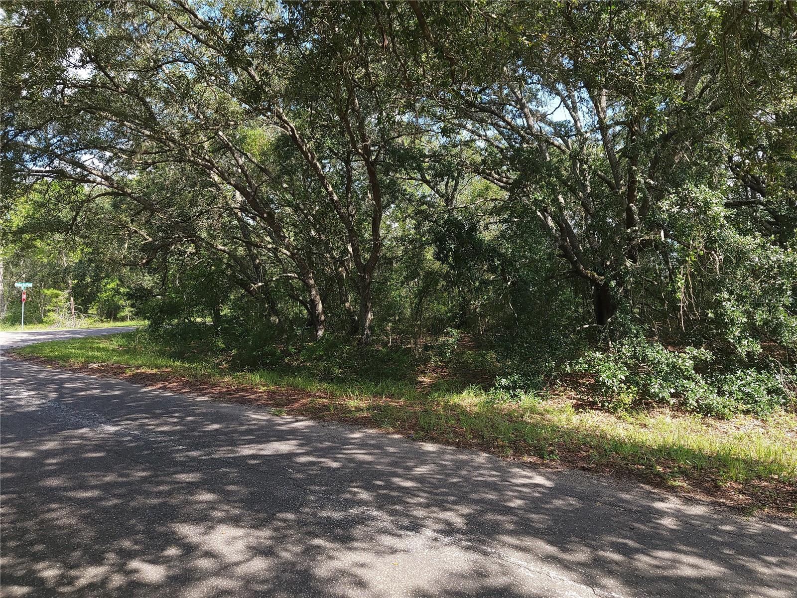 Lot 20 SE FISHER LANE PASS, OCKLAWAHA, FL — photo 17