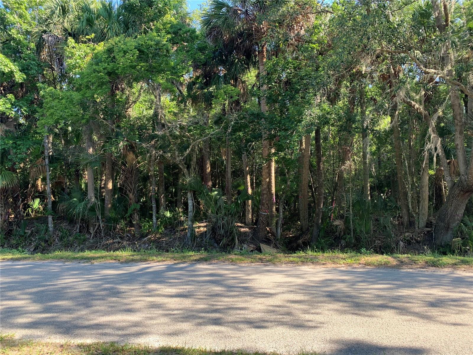 1310 PALM WAY, SANFORD, FL — photo 3