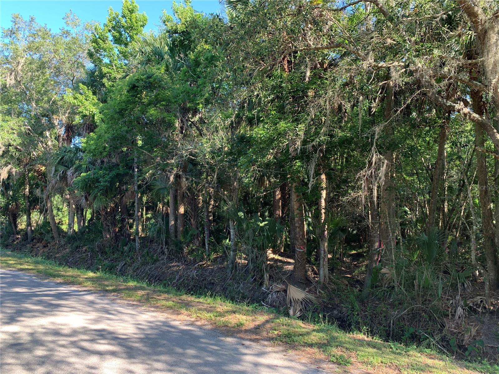 1310 PALM WAY, SANFORD, FL — photo 8