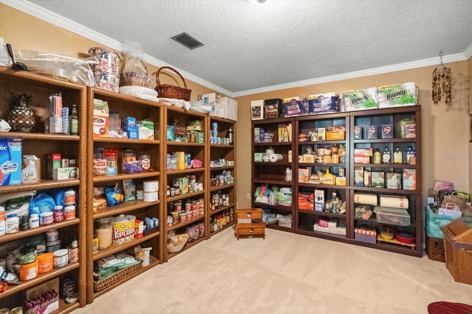 4345 CORLEY ISLAND RD, LEESBURG, FL — photo 53